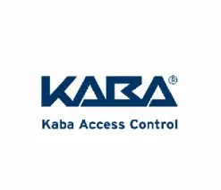 Kaba Access 54482-000-10 Lever Return Spring Pack Of 10